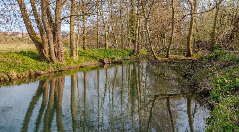 Photo of Together By The River