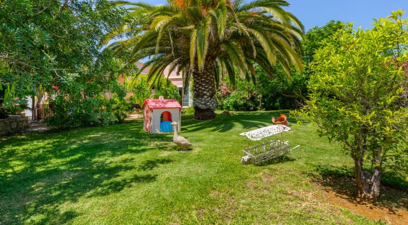 Photo of Isaurinda 1