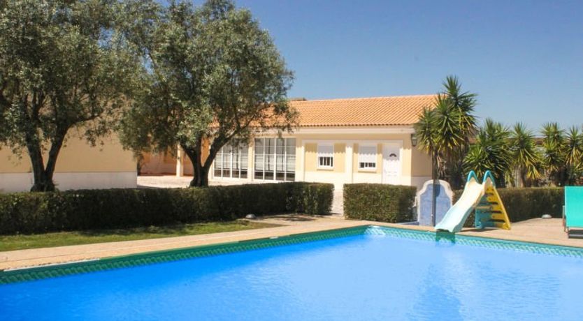 Photo of Quinta Dahlia