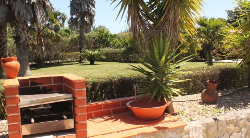 Photo of Quinta Dahlia