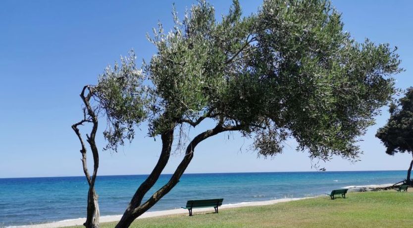 Photo of Maison Michel