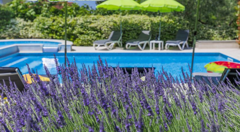 Photo of Villa Vittoria