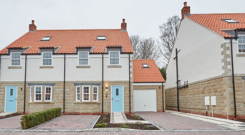 Photo of Auburn Daisies