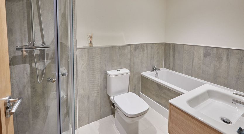 Photo of Auburn Daisies