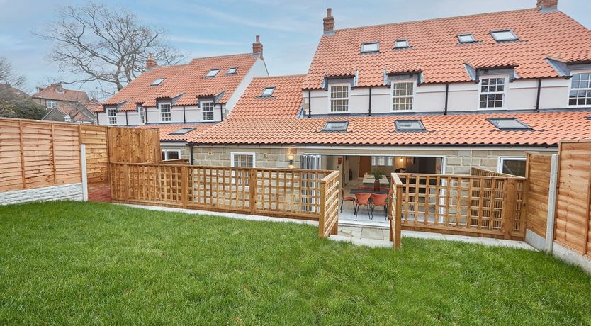 Photo of Auburn Daisies