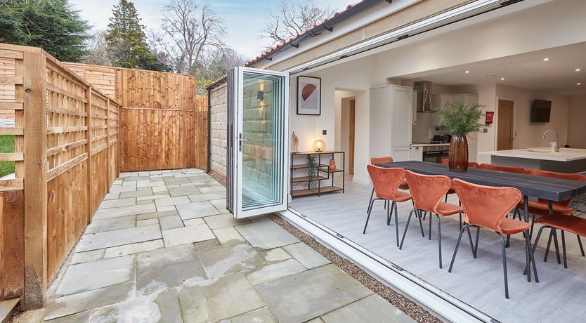 Photo of Auburn Daisies