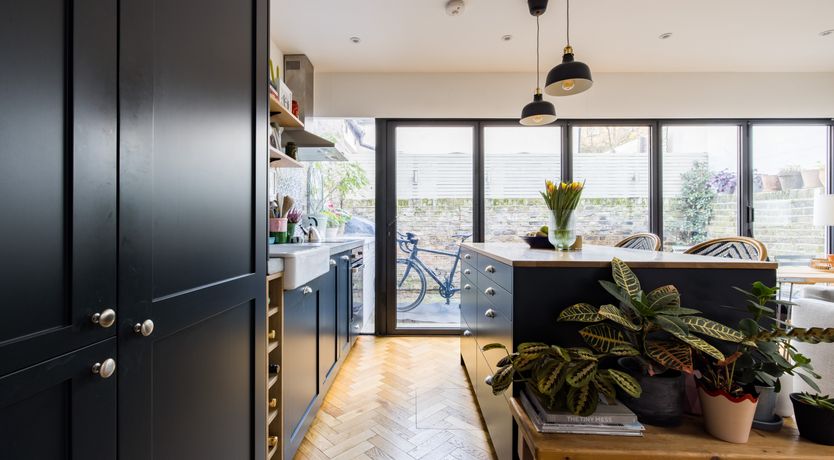 Photo of Sweet Orchid