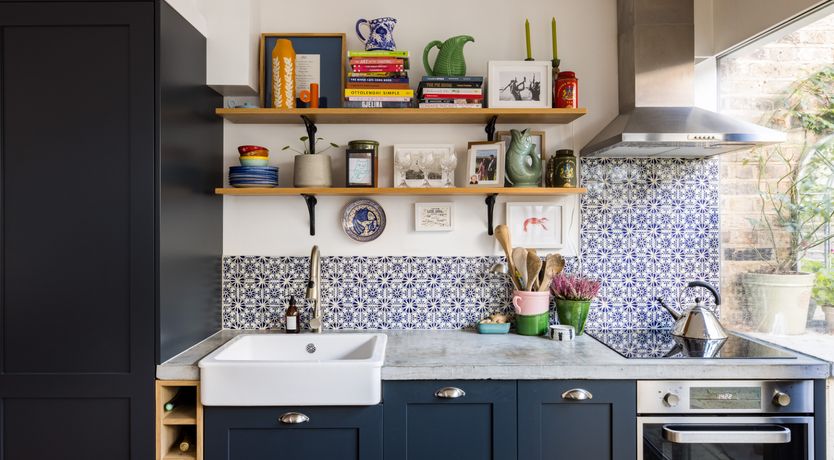 Photo of Sweet Orchid