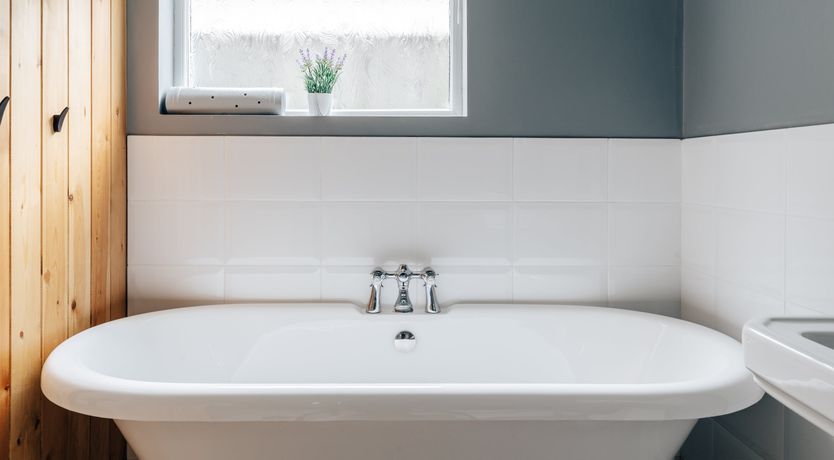 Photo of Blue Persuasion