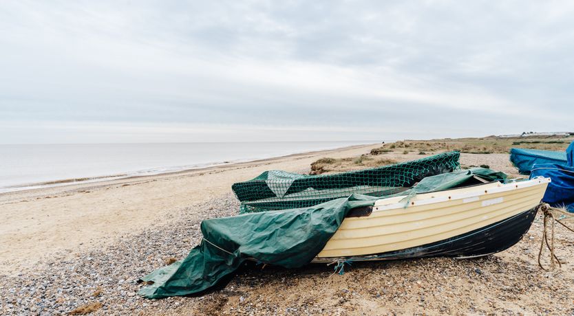 Photo of Blue Persuasion