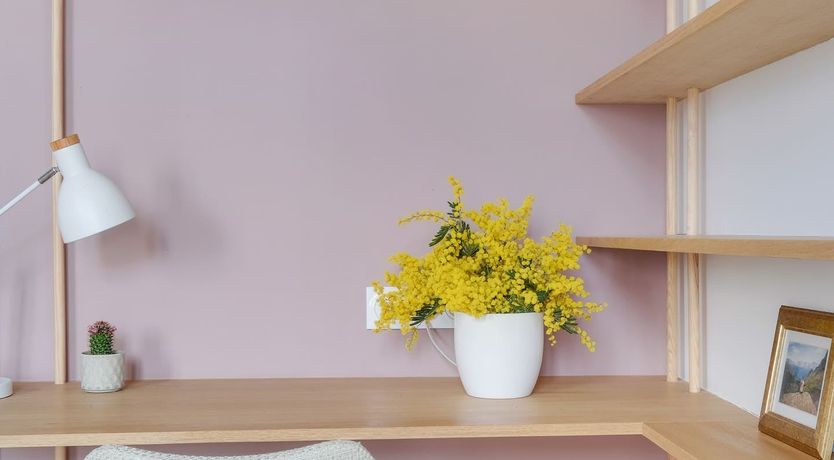 Photo of Light Fandango