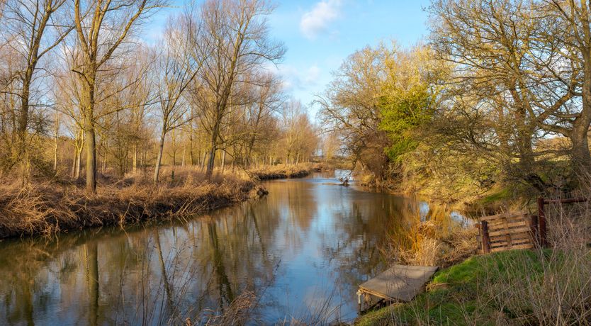 Photo of The Water of Life