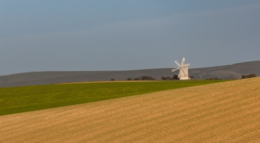 Photo of The Grain Store