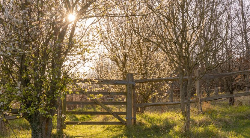 Photo of The Grain Store