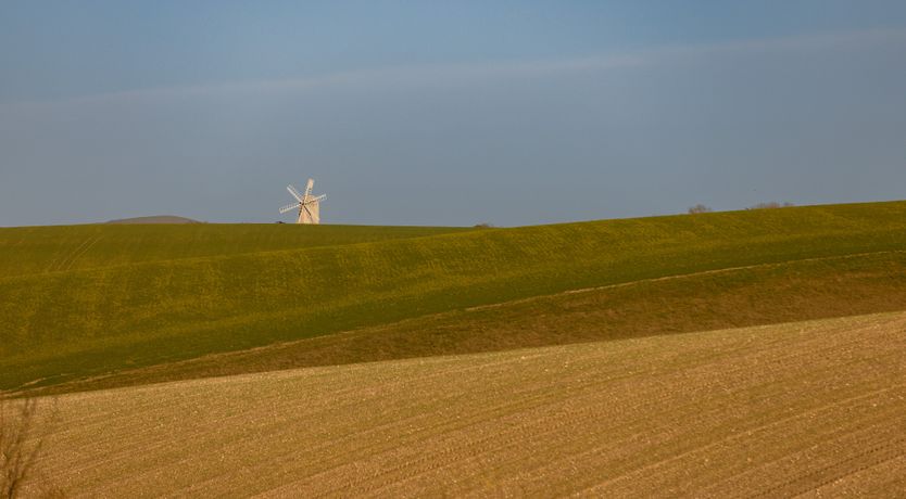 Photo of The Grain Store