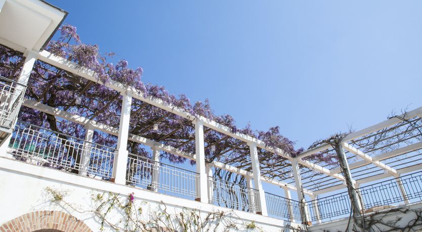 Photo of Citrus & Sea Salt