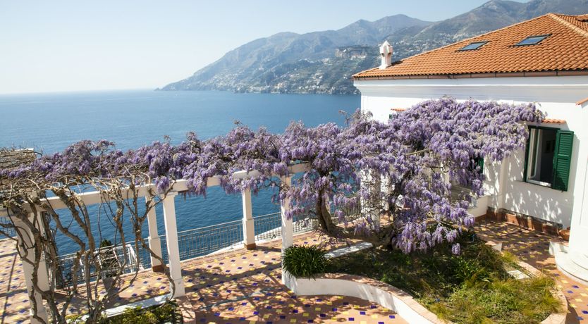 Photo of Citrus & Sea Salt