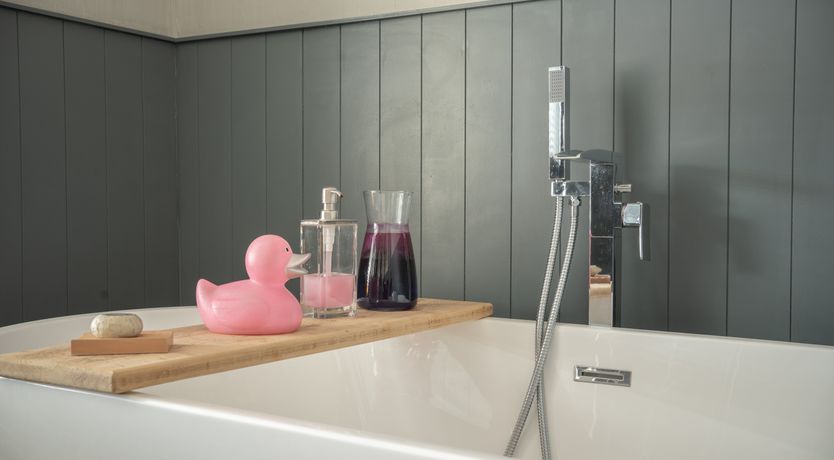 Photo of Lost in Thought