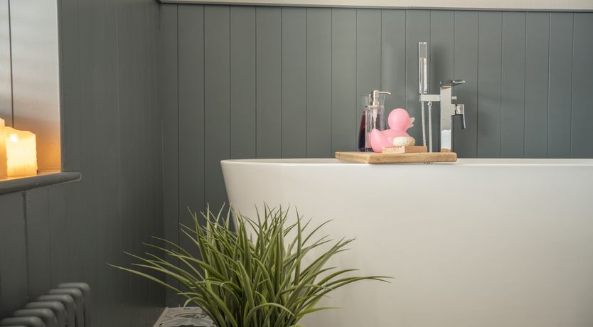 Photo of Lost in Thought