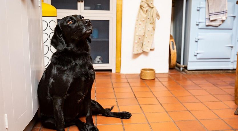 Photo of 5 Bed in Dunster