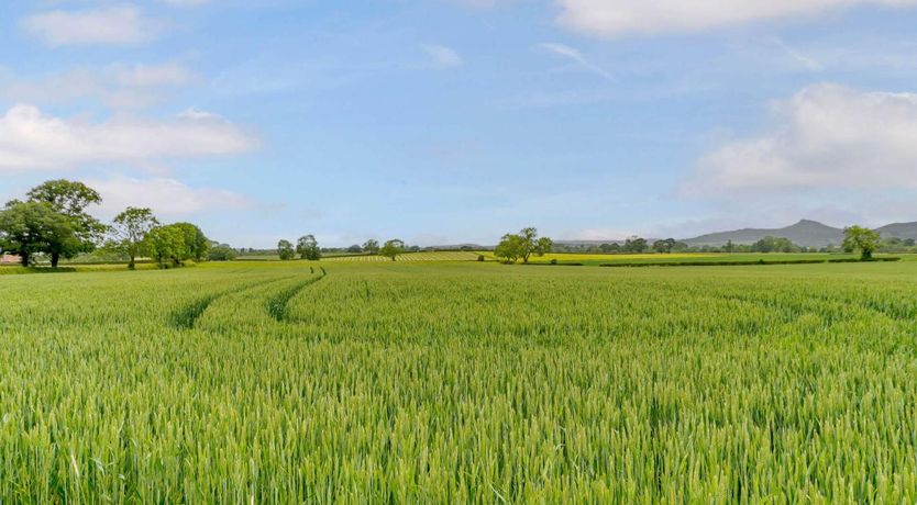 Photo of 1 Bed in Middlesbrough