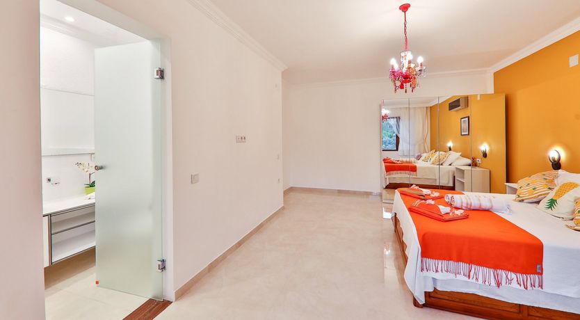 Photo of Golden Tulip