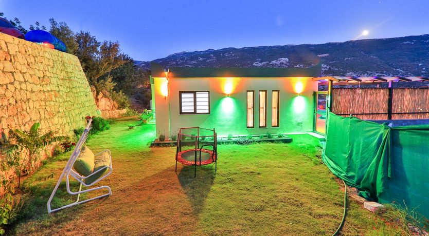 Photo of Golden Tulip