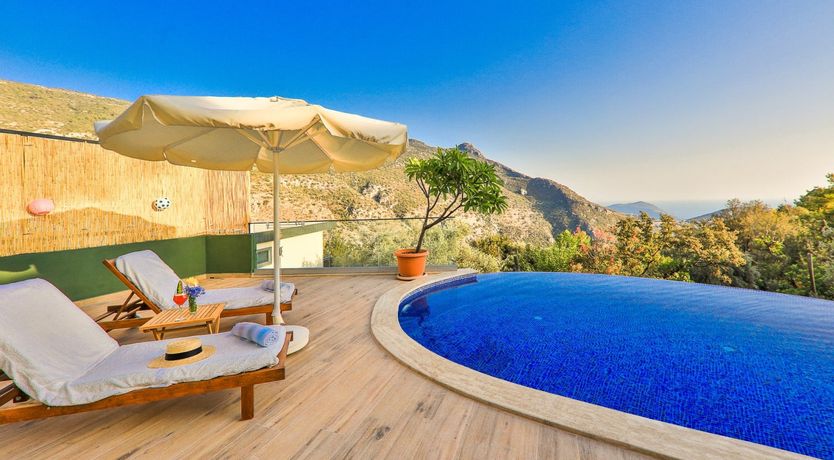 Photo of Golden Tulip