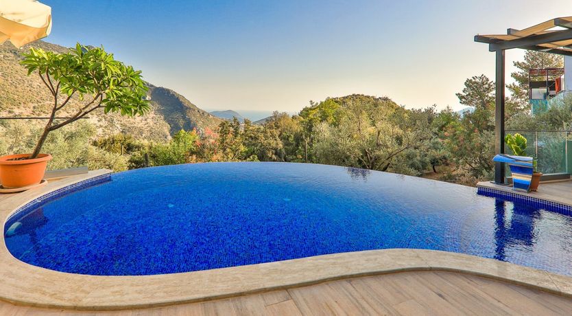 Photo of Golden Tulip