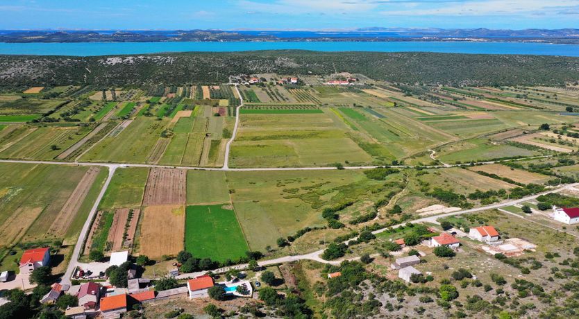 Photo of Common Sage