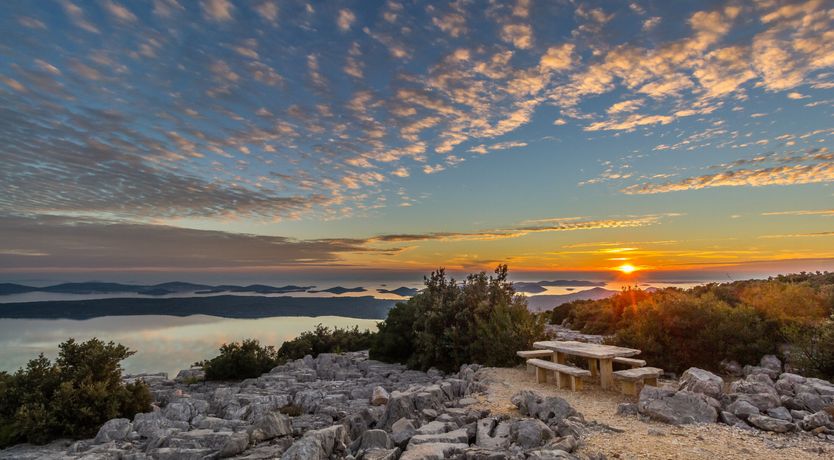 Photo of Common Sage