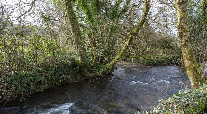 Photo of Run with the River