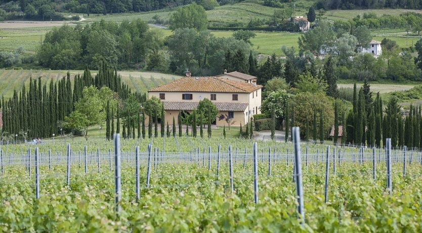 Photo of Cypress & Vines