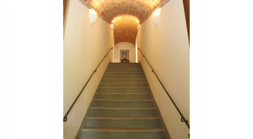 Photo of Cypress & Vines