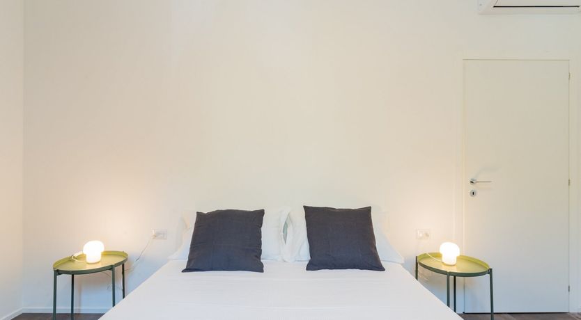 Photo of The White Dove