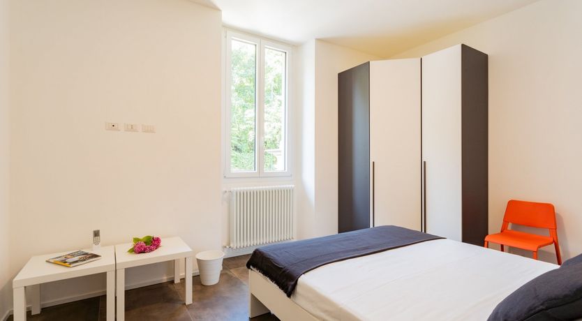 Photo of The White Dove