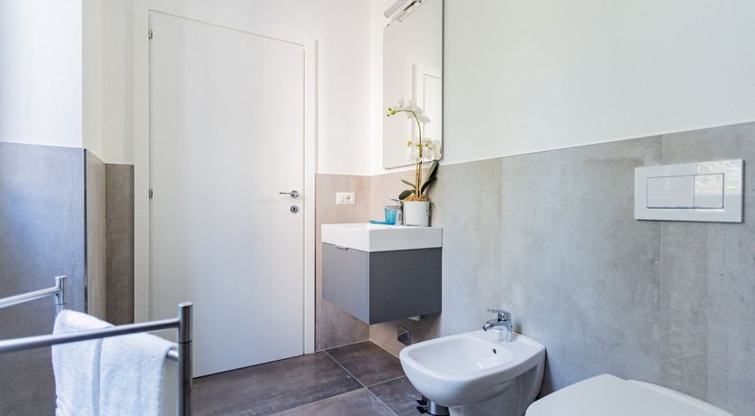 Photo of The White Dove