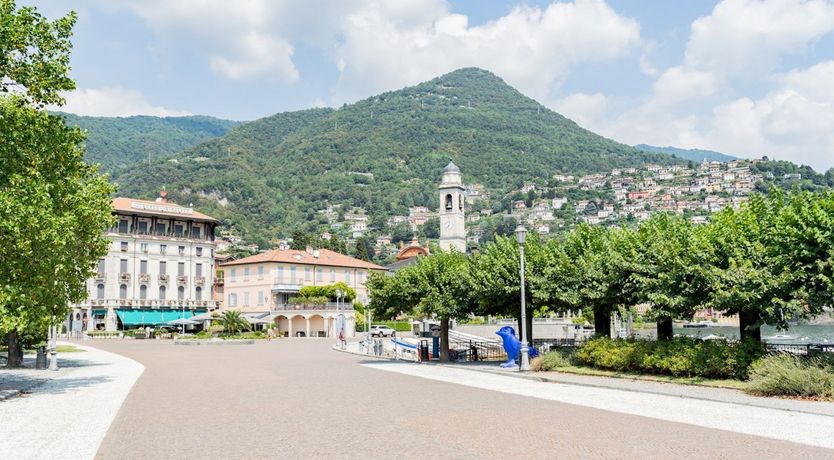 Photo of The White Dove