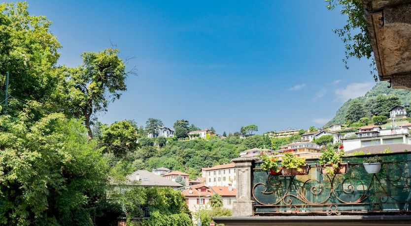 Photo of The White Dove