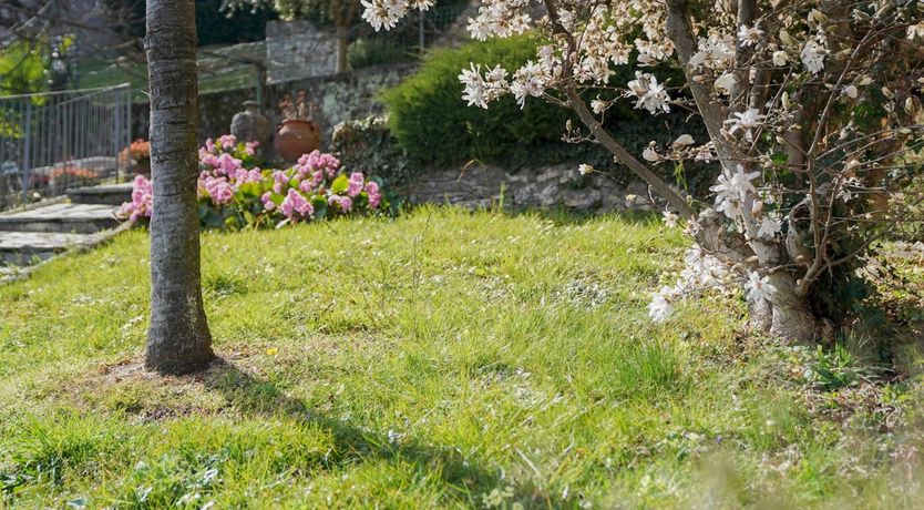 Photo of Lakeside Mosaic