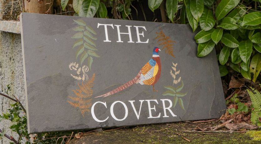 Photo of Paradise Found