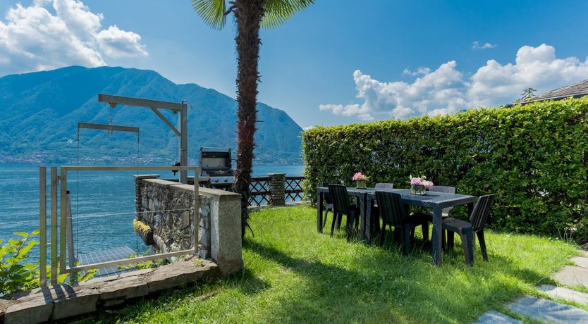 Photo of Wild Euphorbias