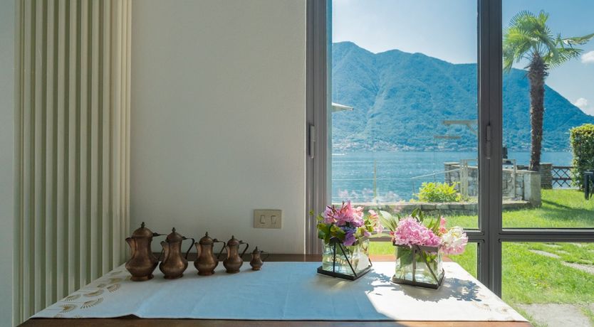 Photo of Wild Euphorbias