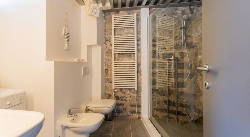 Photo of Wild Euphorbias