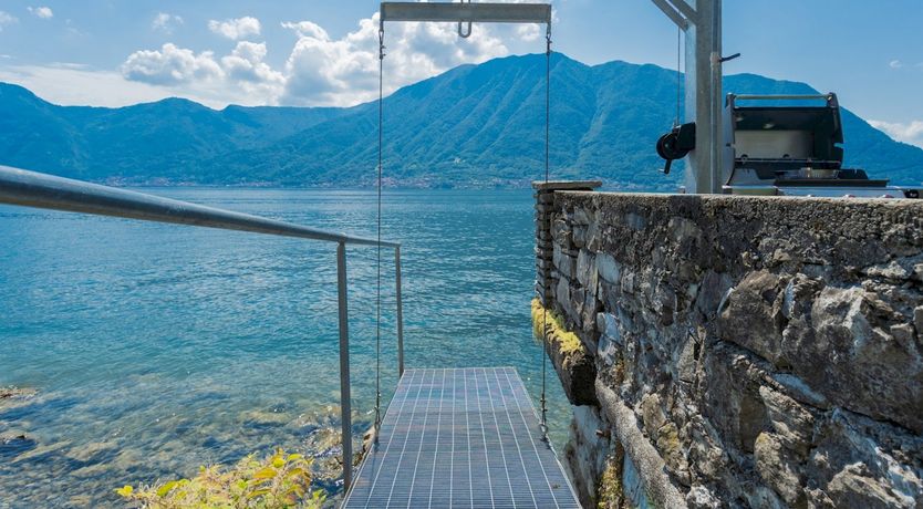 Photo of Wild Euphorbias