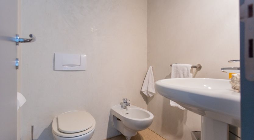 Photo of Wild Euphorbias