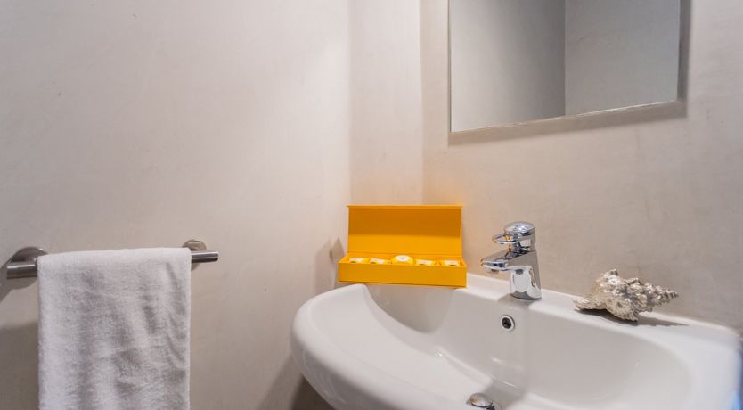 Photo of Wild Euphorbias