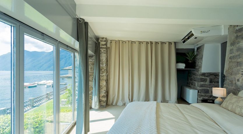 Photo of Wild Euphorbias