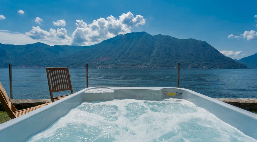 Photo of Wild Euphorbias