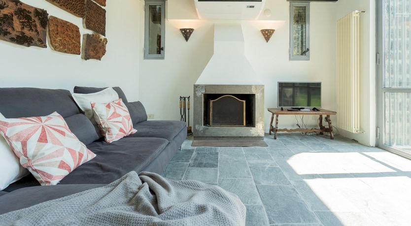 Photo of Wild Euphorbias